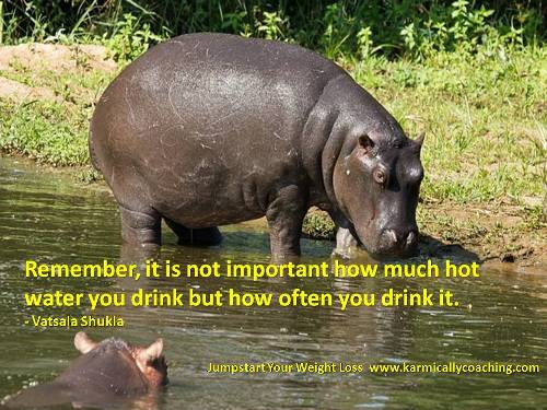 Hippo weight loss tip from Vatsala Shukla