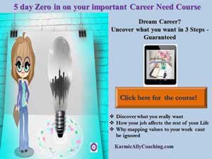 Career Need course from Karmic Ally Coaching