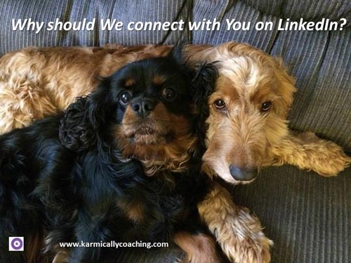 2 ambivalent dogs asking why they should connect with you on LinkedIn