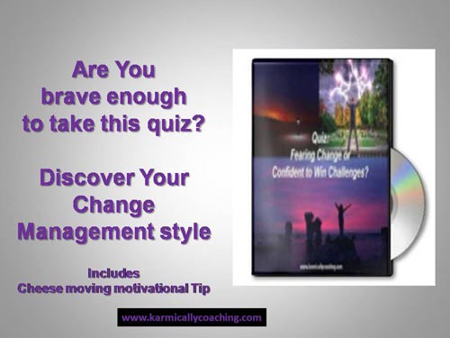 Karmic Ally Coaching Quiz on Change Management