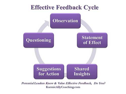 Effective Feedback Cycle