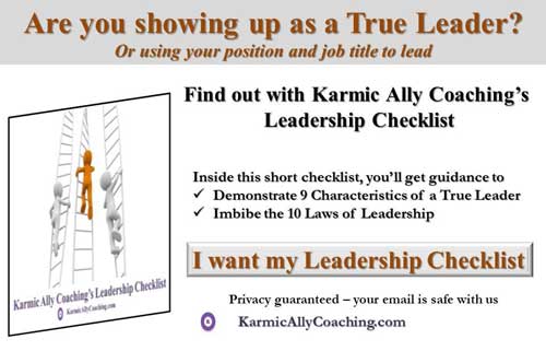 Karmic Ally Coaching Leadership Checklist