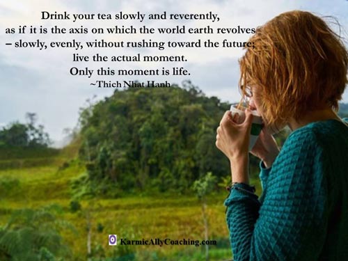 This quote from Thich Nhat Hanh captures the essence of stopping to observe with mindfulness