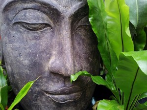 Meditation for Stress Management