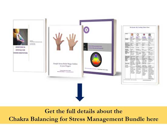 Karmic Ally Coaching's Stress Management with Chakra Balancing bundle Karmic Ally Coaching's Stress Management with Chakra Balancing bundle mockup