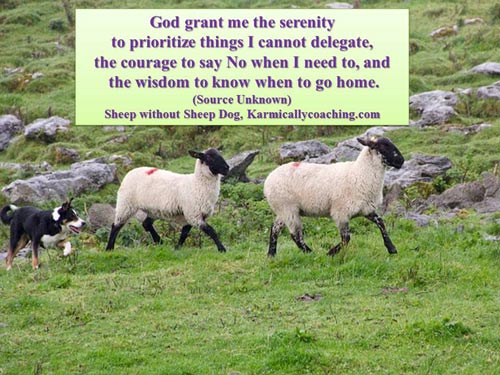 Serenity prayer for sheep style time managers
