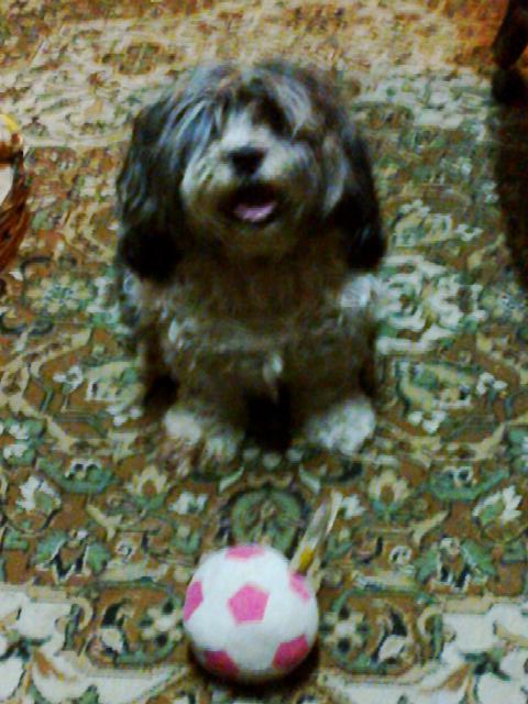 Coco with her soccer ball