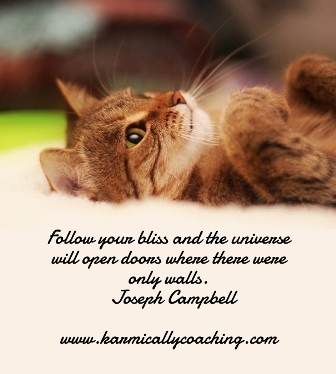 Follow your bliss quote