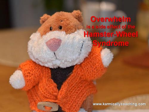 overwhelm is a side effect of hamster wheel syndrome via Karmic Ally Coaching
