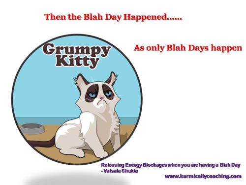 Grumpy Kitty having a Blah Day