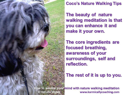 Miss Coco shares her nature walking tips
