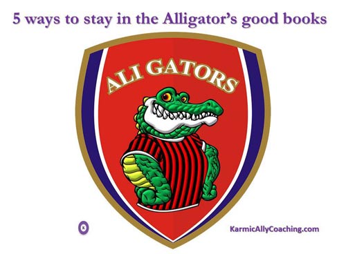 5 ways to stay in the alligator's good books