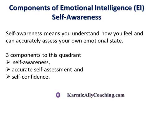 Components of Emotional Intelligence - Self Awareness