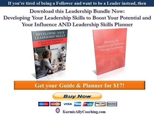 Karmic Ally Coaching's Leadership Development Guide and Planner