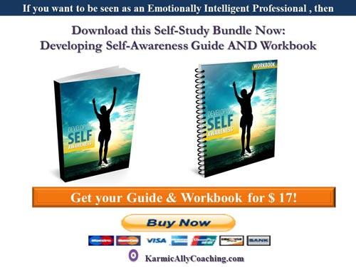 Karmic Ally Coaching Self Awareness ebook and journal bundle