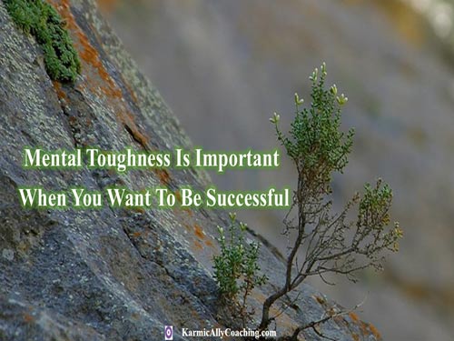 Mental Toughness is important if you want success in your career and life