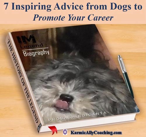 Book cover of Miss Coco and inspiring career advice from dogs