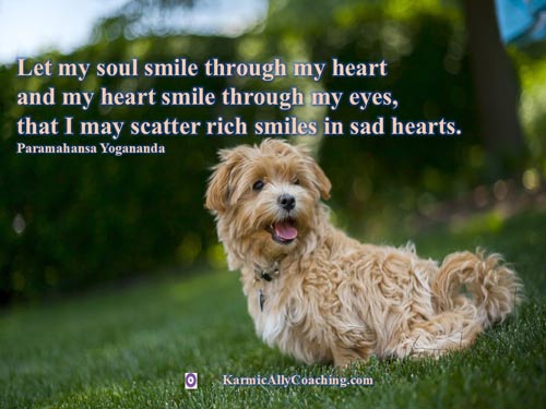 Smiling dog following Paramhansa Yogananda quote