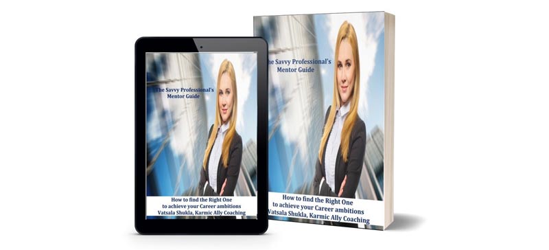 Savvy Professional Guide ebook
