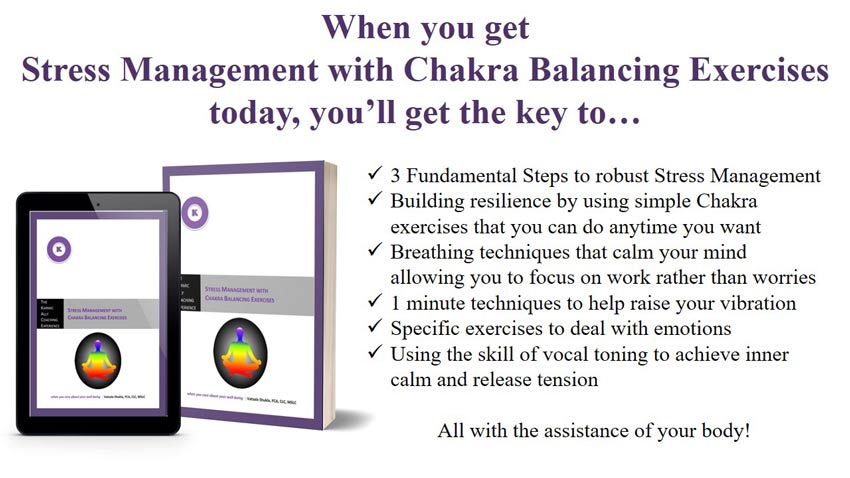 Stress Management with Chakra Balancing from Karmic Ally Coaching