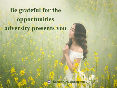 Show gratitude for all opportunities