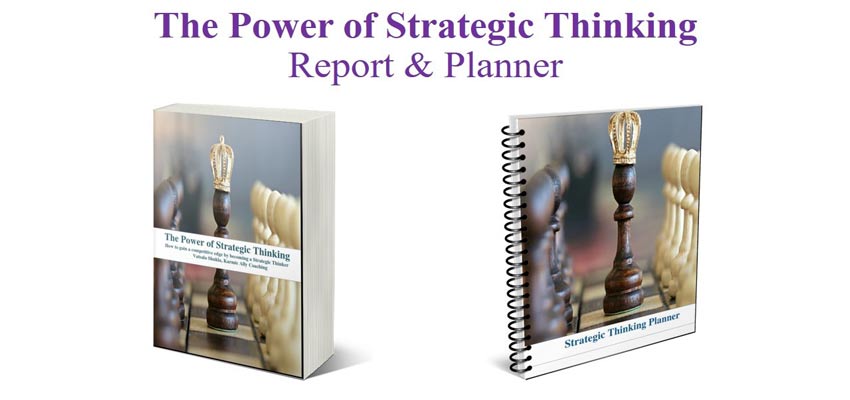 Karmic Ally Coaching's Power of Strategic Thinking Report & Planner