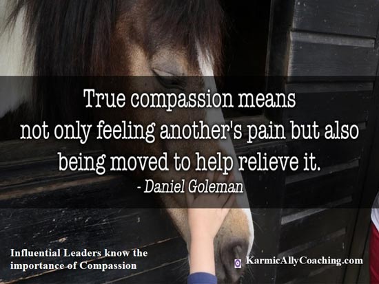 Horse being caressed by a hand and Daniel Goleman quote on compassion