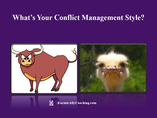 Conflict management style bull or ostrich