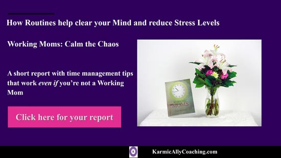 Working Moms Calm the Chaos Report