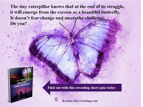 Purple butterfly and an invitation to take the Change Quiz