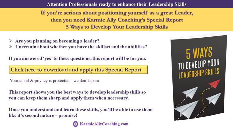 Leadership Development Free Special Report from Karmic Ally Coaching
