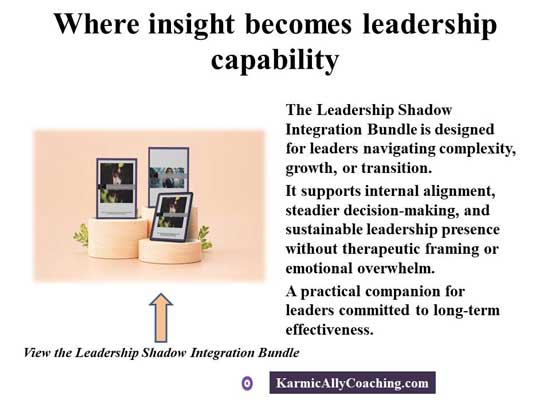 Insight and leadership capability and Leadership Shadow Integration Bundle