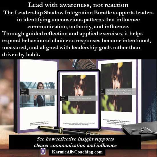 Lead with awareness and not reaction blurb for Leadership Shadow Integration Bundle offer