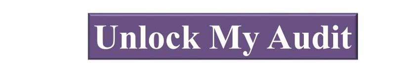 Unlock My Audit CTA button